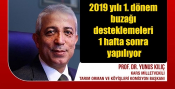 2019 yılı 1. dönem buzağı desteklemeleri 1 hafta sonra yapılıyor