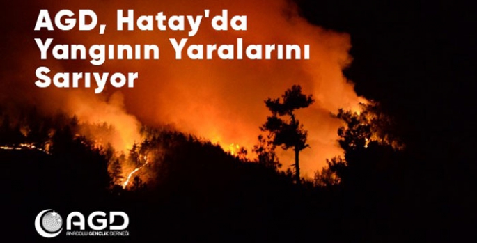 AGD, Hatay’da yangının yaralarını sarıyor