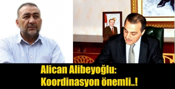 Alican Alibeyoğlu, Koordinasyon önemli..!