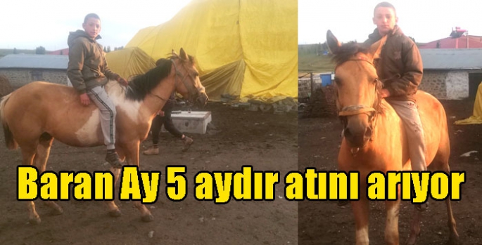 Baran Ay 5 aydır atını arıyor