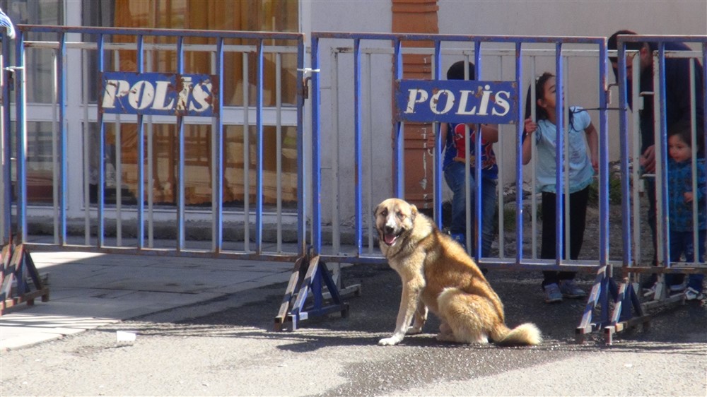 Başbakan Mitinginde İlginç Görüntü