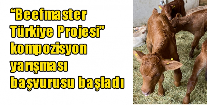 “Beefmaster Türkiye Projesi” kompozisyon yarışması başvurusu başladı