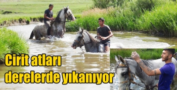 Cirit atları derelerde yıkanıyor