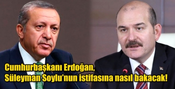 Cumhurbaşkanı Erdoğan, Süleyman Soylu’nun istifasına nasıl bakacak!