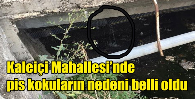 Kaleiçi Mahallesi’nde pis kokuların nedeni belli oldu