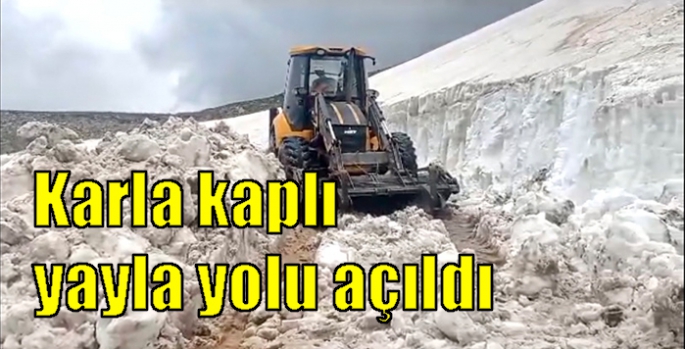 Karla kaplı yayla yolu açıldı