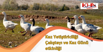 Kars’a Kaz Yetiştiriciliği Çalıştayı ve Kaz Günü etkinliği