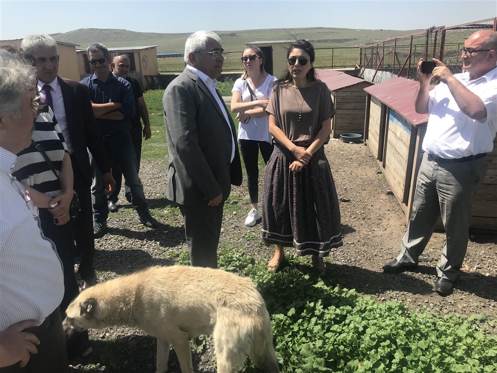 Kars Belediye Başkanı Hayvanseverlerle barınağı ziyaret etti