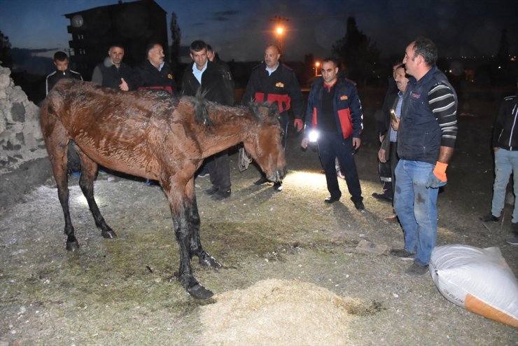 Kars Belediyesi Haftalık Birim Faaliyetlerini Açıkladı