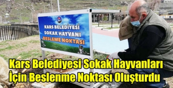 Kars Belediyesi Sokak Hayvanları İçin Beslenme Noktası Oluşturdu