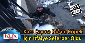 Kars Çayına Düşen Köpek İçin İtfaiye Seferber Oldu