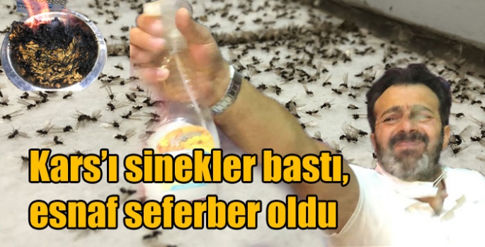 Kars’ı sinekler bastı, esnaf seferber oldu