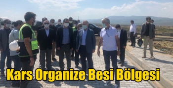 Kars Organize Besi Bölgesi