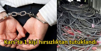 Kars’ta 1 kişi hırsızlıktan tutuklandı