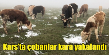 Kars’ta çobanlar kara yakalandı