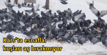 Kars’ta esnaflar kuşları aç bırakmıyor