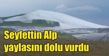 Kars’ta Seyfettin Alp yaylasını dolu vurdu