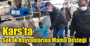 Kars’ta Sokak Hayvanlarına Mama Desteği