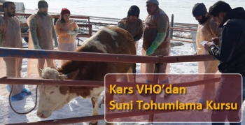 Kars VHO’dan Suni Tohumlama Kursu