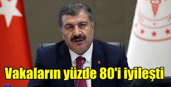 Koronavirüs’te vakaların yüzde 80'i iyileşti