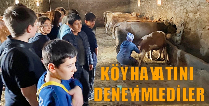 Köy hayatını deneyimlediler