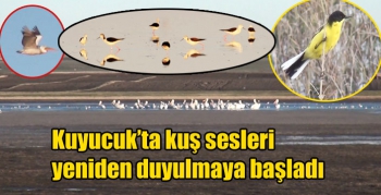 Kuyucuk’ta kuş sesleri yeniden duyulmaya başladı