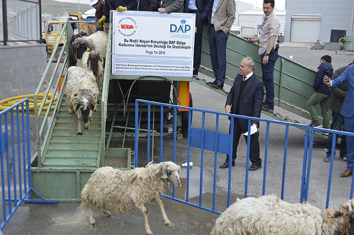 Mobil Koyun Banyoluğu