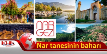 Nar tanesinin baharı