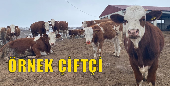 Örnek çiftçi