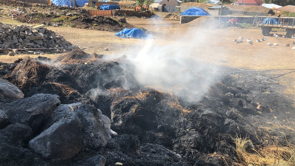 Otu’nun Feryadı; Sokak Lambaları Yansaydı Otumuz Yanmazdı