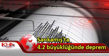 Sarıkamış'ta 4.2 büyüklüğünde deprem