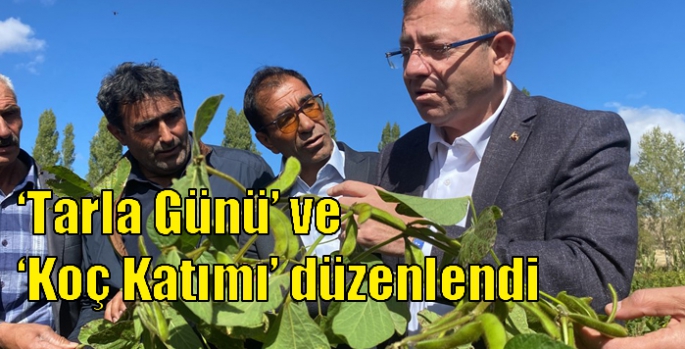 ‘Tarla Günü’ ve ‘Koç Katımı’ düzenlendi