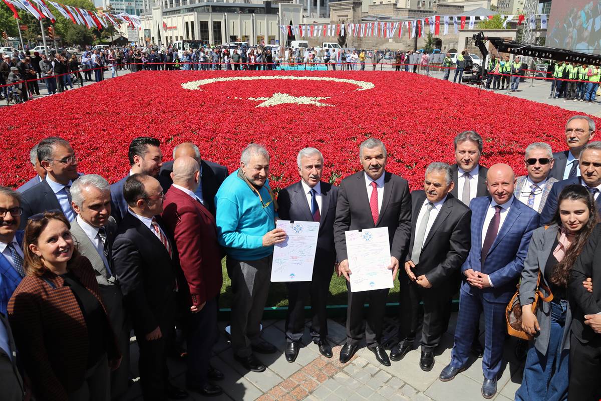 Türk Bayrağı Temalı Lale Peyzajı