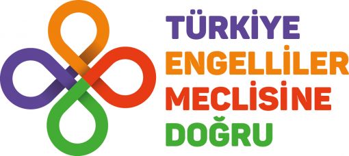 Türkiye Engelliler Meclisi hakkında