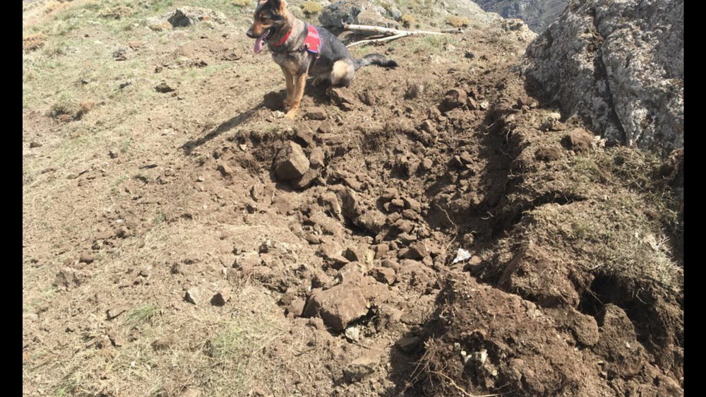 Tuzaklanmış EYP Düzeneği Bulundu