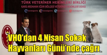 VHO’dan 4 Nisan Sokak Hayvanları Günü’nde çağrı