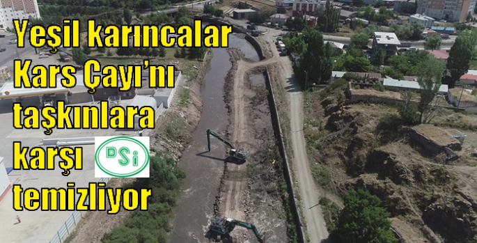 Yeşil karıncalar Kars Çayı’nı taşkınlara karşı temizliyor