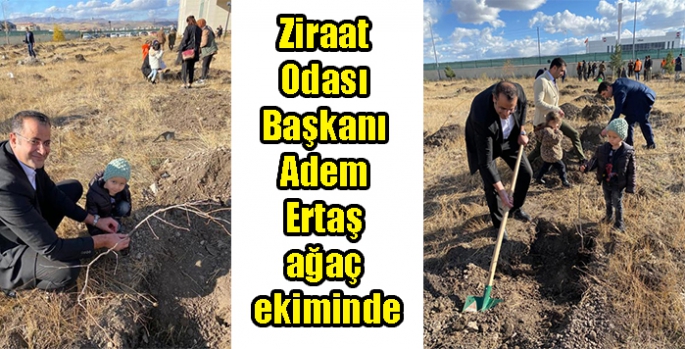 Ziraat Odası Başkanı Adem Ertaş ağaç ekiminde